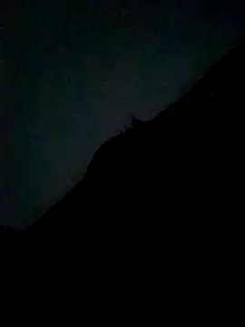 CatchingBouquet online show from 09/21/25, 07:37