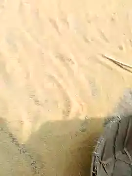 CatchingBouquet online show from 11/21/25, 04:44