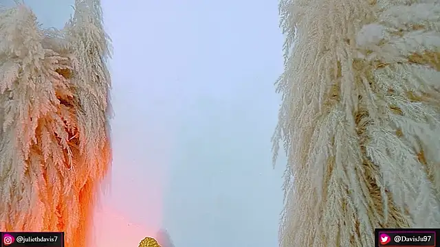 Snapshot of JulietaDavis chatting on 04/17/26, 09:34 JulietaDavis online show from 04/17/26, 09:34