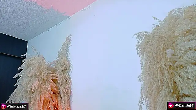 Snapshot of JulietaDavis chatting on 04/20/26, 09:34 JulietaDavis online show from 04/20/26, 09:34