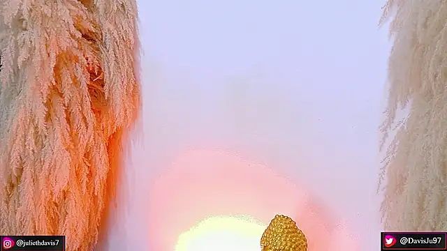 Snapshot of JulietaDavis chatting on 04/22/26, 09:33 JulietaDavis online show from 04/22/26, 09:33