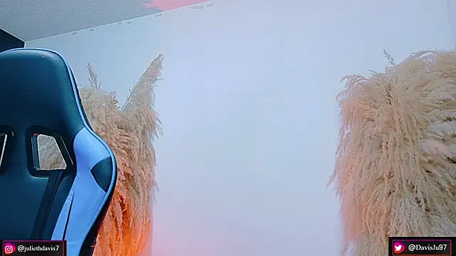 Snapshot of JulietaDavis chatting on 04/29/26, 02:04 JulietaDavis online show from 04/29/26, 02:04