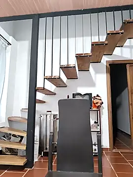 Hiroshi Shen online show from 11/17/25, 11:27