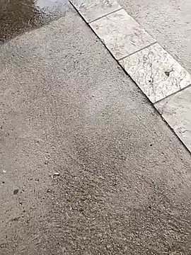 jvdzj-0  online show from 10/19/25, 03:34