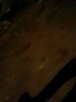 jvdzj-0  online show from 10/28/25, 09:50