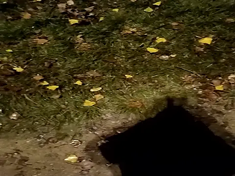 jvdzj-0  online show from 10/29/25, 10:44