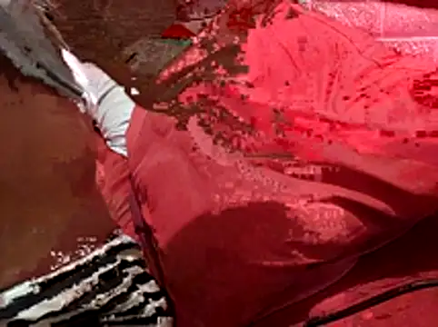 Snapshot of Kellye_hotTs chatting on 02/04/26, 02:17 Kellye hotTs online show from 02/04/26, 02:17