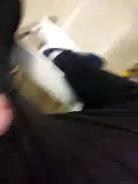 Snapshot of guridosul051 chatting on 09/17/25, 11:12 guridosul051 online show from 09/17/25, 11:12