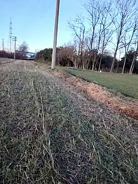 Prince-sexy online show from 01/06/26, 03:05