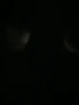 Snapshot of Archie-Davis chatting on 10/31/25, 07:26 Archie-Davis online show from 10/31/25, 07:26