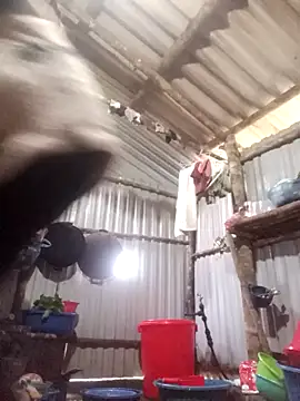 jienrrr online show from 12/17/25, 12:16