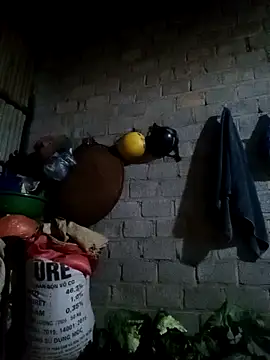 Snapshot of jienrrr chatting on 02/24/26, 11:30 jienrrr online show from 02/24/26, 11:30