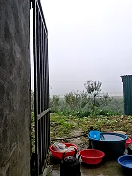 yoowwmr online show from 11/12/25, 12:11