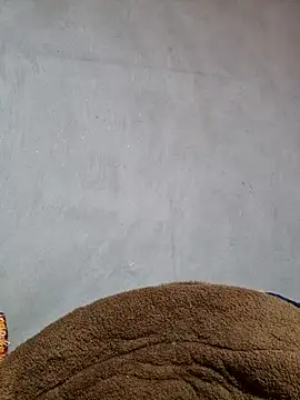 yoowwmr online show from 11/20/25, 05:40