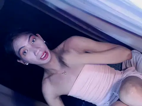 Snapshot of xyourdreamtrans chatting on 11/04/25, 11:09 xyourdreamtrans online show from 11/04/25, 11:09