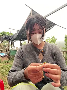 isaaa5 online show from 04/17/26, 10:18