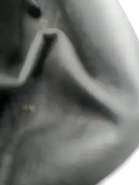 Snapshot of legaros chatting on 10/20/25, 03:12 legaros online show from 10/20/25, 03:12