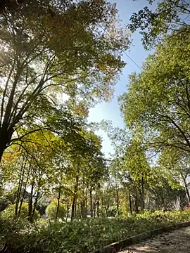 Xiao-meng66 online show from 11/14/25, 03:38