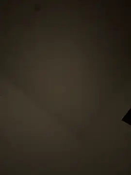 Snapshot of Lapampara0 chatting on 10/23/25, 10:52 Lapampara0 online show from 10/23/25, 10:52