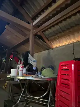 ThiHa003 online show from 01/18/26, 05:11