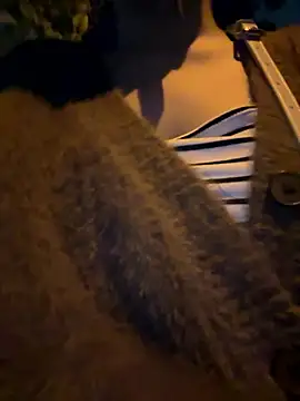 Meii-meyy online show from 01/16/26, 02:54