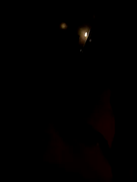 dutch girl lover online show from 10/05/25, 09:07