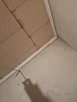 Snapshot of Tudiablita21 chatting on 04/06/26, 07:53 Tudiablita21 online show from 04/06/26, 07:53