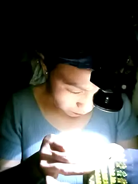 nasy lady online show from 10/12/25, 12:37