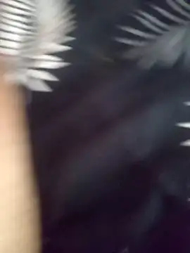 jocafe1995 online show from 02/04/26, 07:20