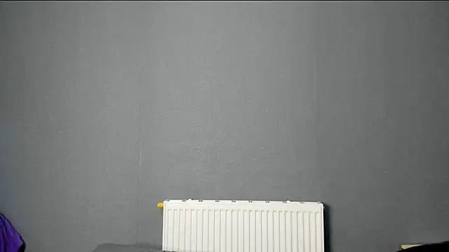 Snapshot of SherlockMax chatting on 11/07/25, 04:29 SherlockMax online show from 11/07/25, 04:29