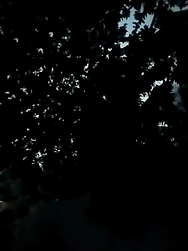 Girls pussy rider online show from 11/24/25, 12:38