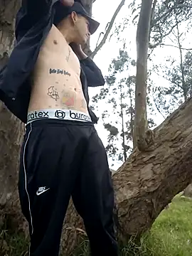 Snapshot of Thomasjons_ chatting on 11/26/25, 02:40 Thomasjons online show from 11/26/25, 02:40