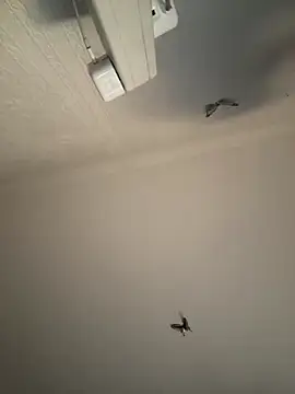 Snapshot of AroraAngel chatting on 03/07/26, 09:56 AroraAngel online show from 03/07/26, 09:56