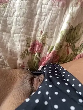 Snapshot of pretalst chatting on 02/21/26, 11:33 pretalst online show from 02/21/26, 11:33