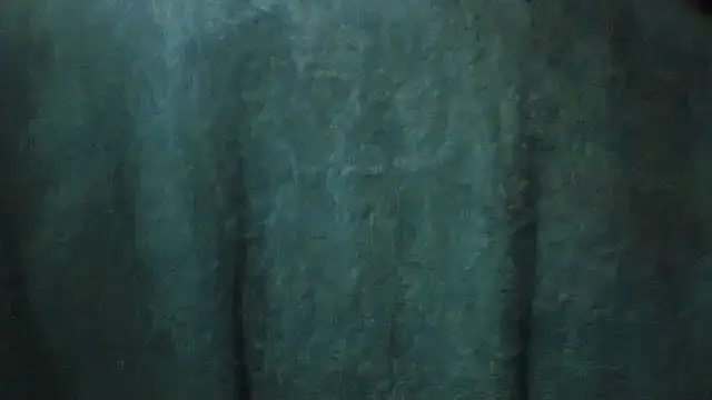 pietje1991 online show from 02/28/26, 03:46