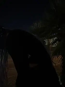 Snapshot of TranSexualJade95 chatting on 11/01/25, 10:06 TranSexualJade95 online show from 11/01/25, 10:06