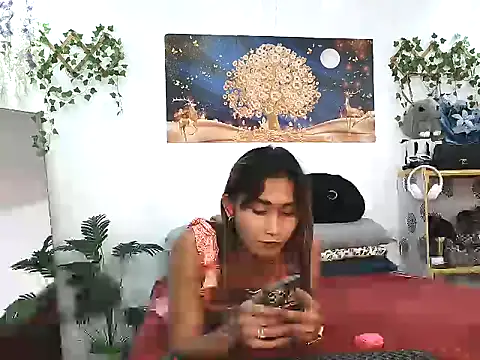 Snapshot of youarea_dreamer chatting on 04/06/26, 05:14 youarea dreamer online show from 04/06/26, 05:14