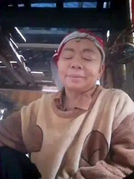 Snapshot of VangLe73 chatting on 11/21/25, 03:38 VangLe73 online show from 11/21/25, 03:38