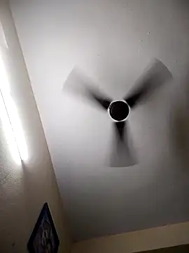 Snapshot of Devi-with-Ram chatting on 11/29/25, 02:42 Devi-with-Ram online show from 11/29/25, 02:42