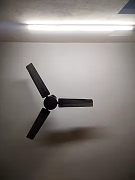 Snapshot of Devi-with-Ram chatting on 12/03/25, 07:38 Devi-with-Ram online show from 12/03/25, 07:38