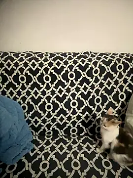 Sweet lollipop25 online show from 01/11/26, 09:20