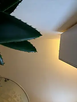 Michel huge online show from 01/12/26, 06:51