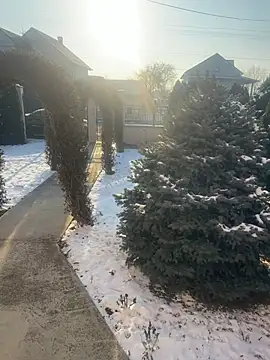 Michel huge online show from 01/18/26, 07:56