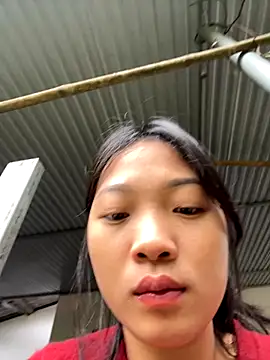 Phayphay77 online show from 11/21/25, 01:48