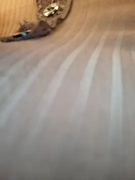 Sandiq99six online show from 11/07/25, 11:05