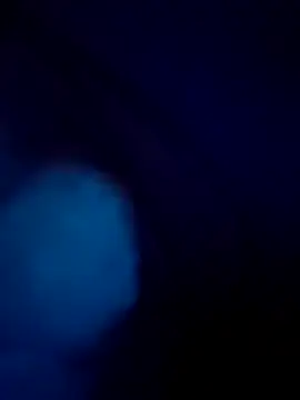 treefrog2025 online show from 09/17/25, 11:28