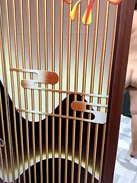 Snapshot of yang-2269 chatting on 11/21/25, 08:51 yang-2269 online show from 11/21/25, 08:51