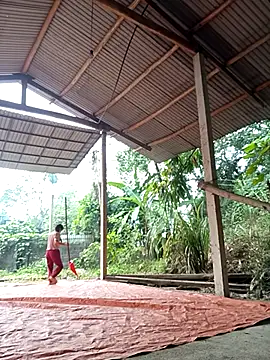 NG N online show from 11/17/25, 12:27