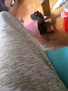 Snapshot of Fonse1860 chatting on 10/19/25, 08:59 Fonse1860 online show from 10/19/25, 08:59