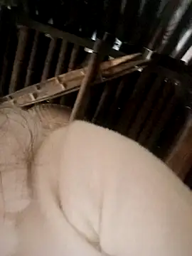 Bianly online show from 11/15/25, 02:31